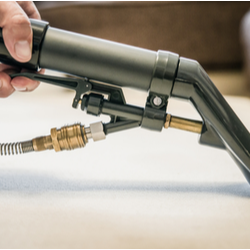 Carpet Cleaning